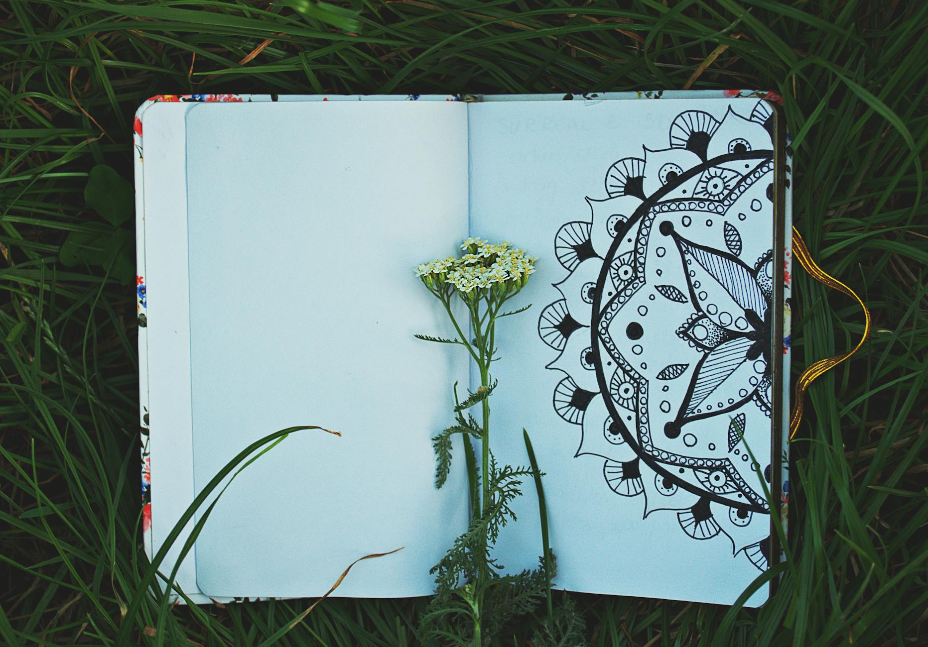 unbloomed white flower bud placed on opened book