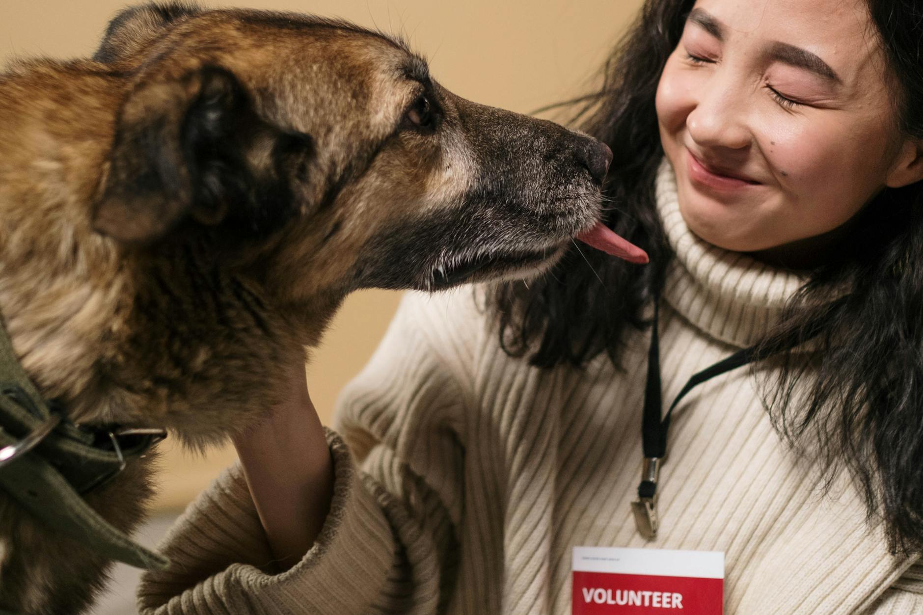 crop volunteer caressing adorable dog with tongue out