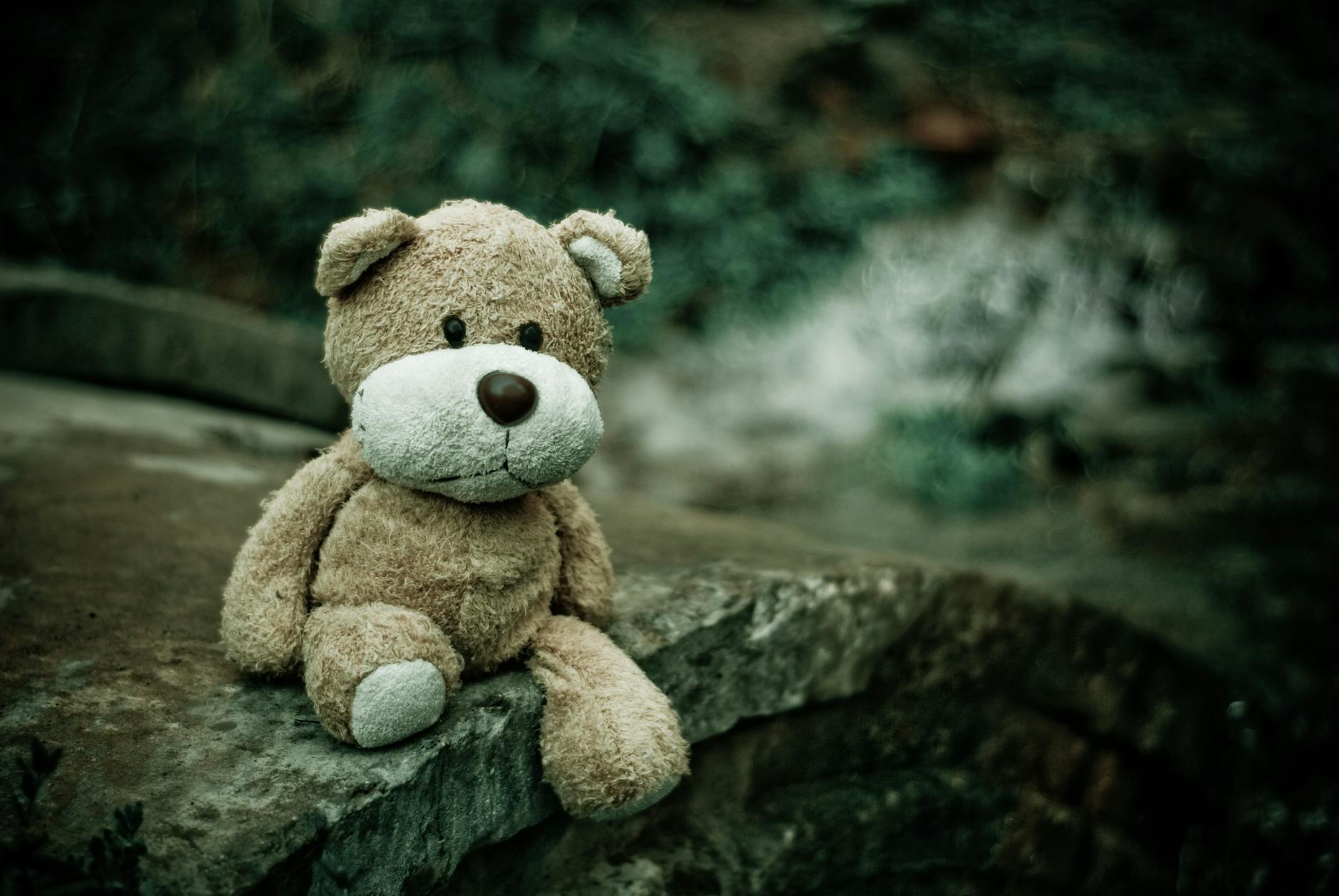 brown teddy bear sitting on edge of pavement