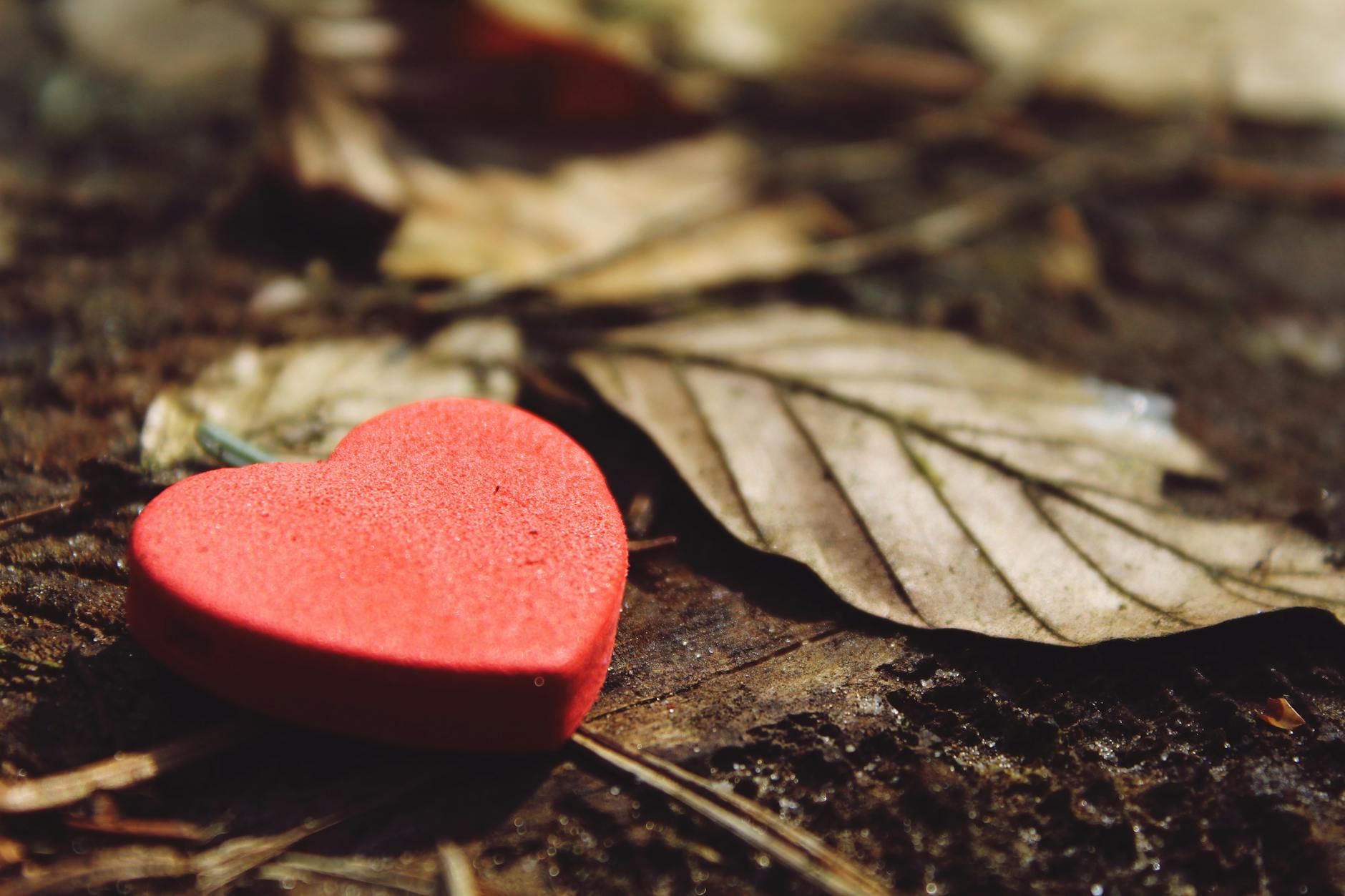 close up of heart shape