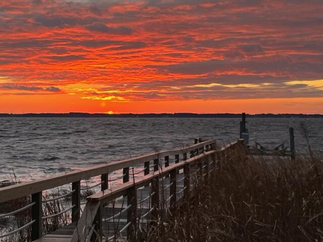 sunset at the beach opacarophile