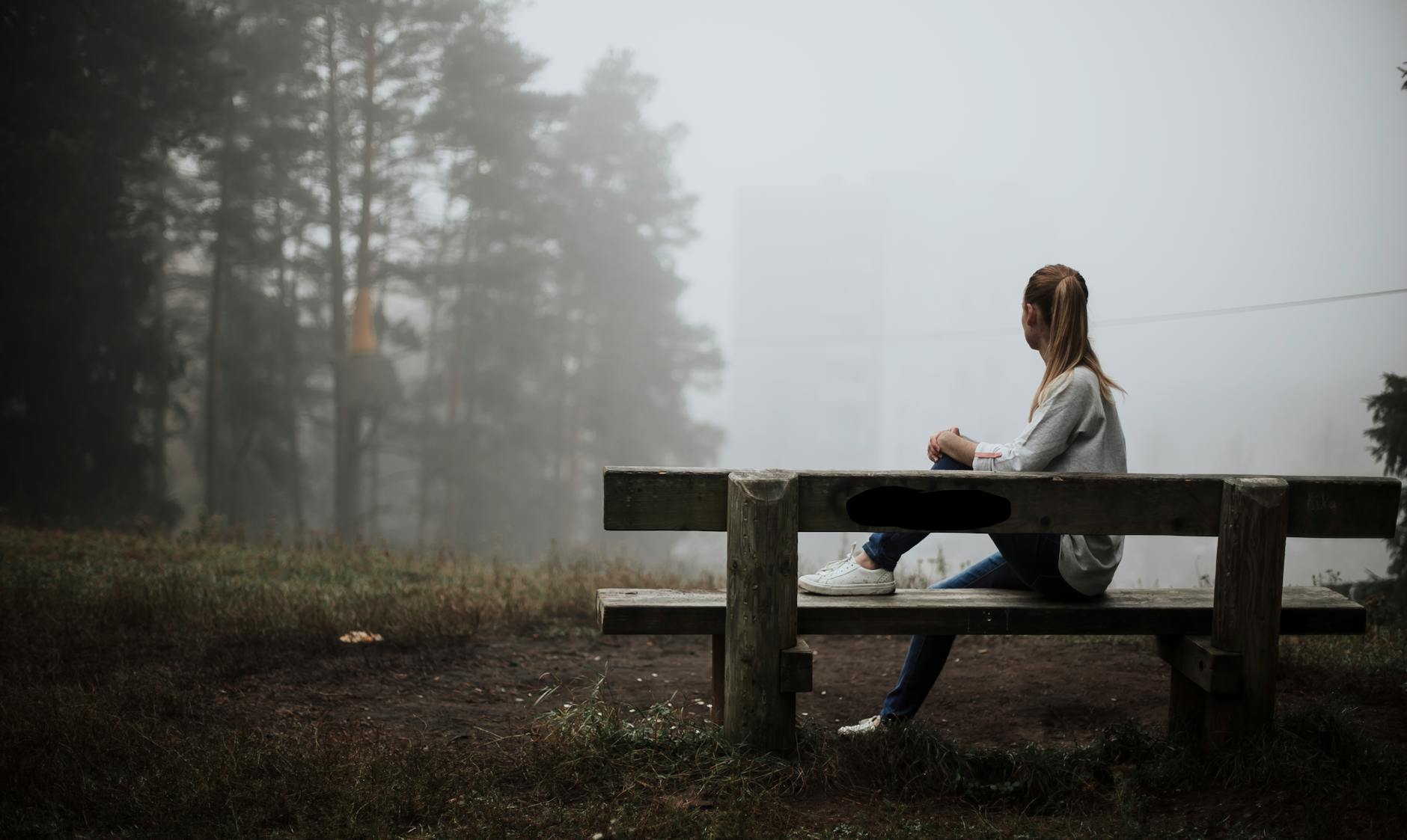 woman sitting on bench in forest under fog