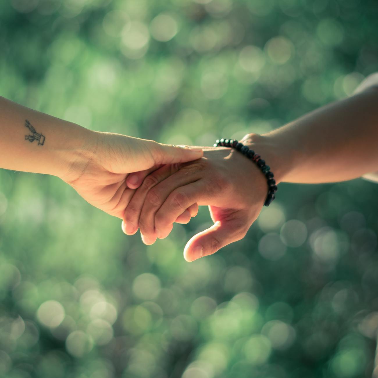 close up photo of people holding hands