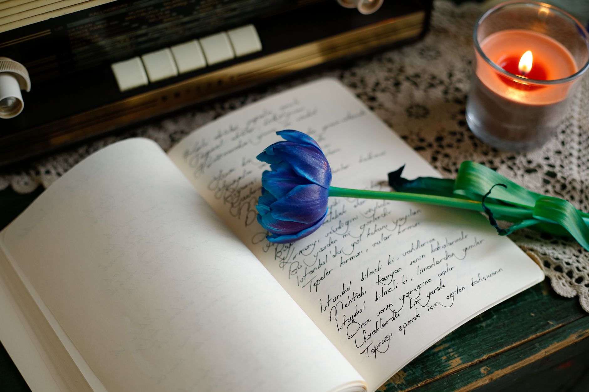 serene still life with blue tulip and candlelight